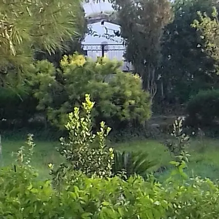 וילה Alma בארי