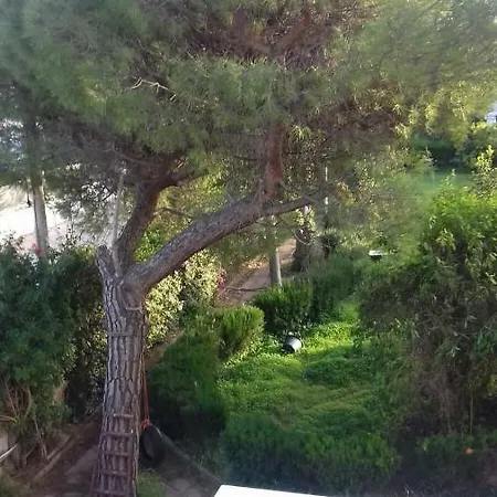Alma Villa Bari